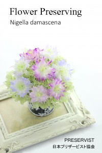 プリザーブドフラワー　加工教室　日本プリザービスト協会